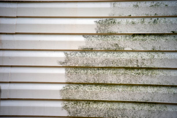Best Garage Cleanout  in Richnd Heights, MO
