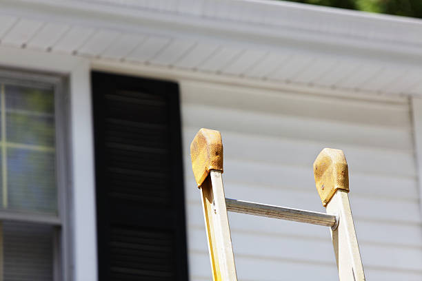 Best Dumpster Rental Services  in Richnd Heights, MO